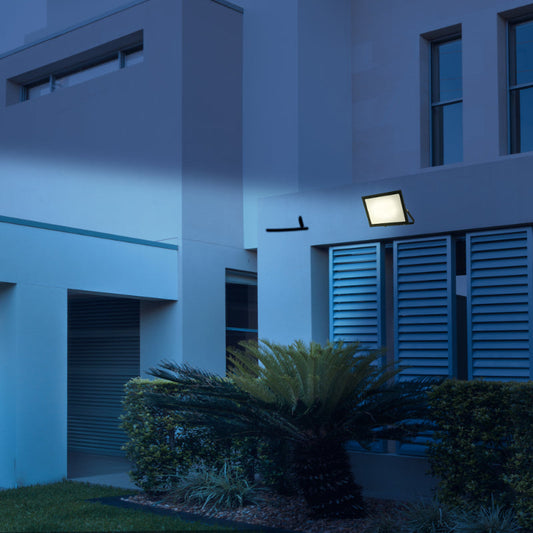 Lámpara Led Exterior Reflectora Negro 1L 150W 100-265V 6000K