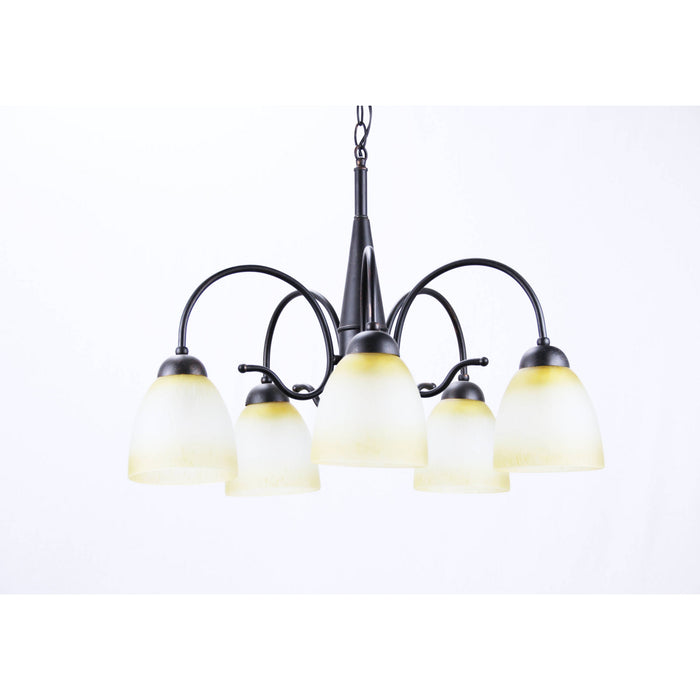 Lámpara Techo Negro 5L E27 60W