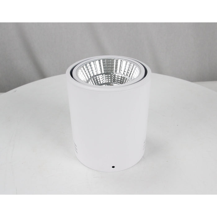 LAMP LED TECHO BLANCO 12W 3000K