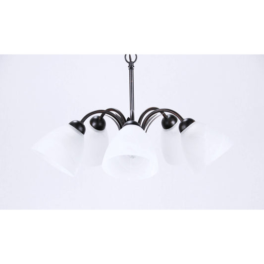 LAMP. TECHO NEGRO 5L E27 60W