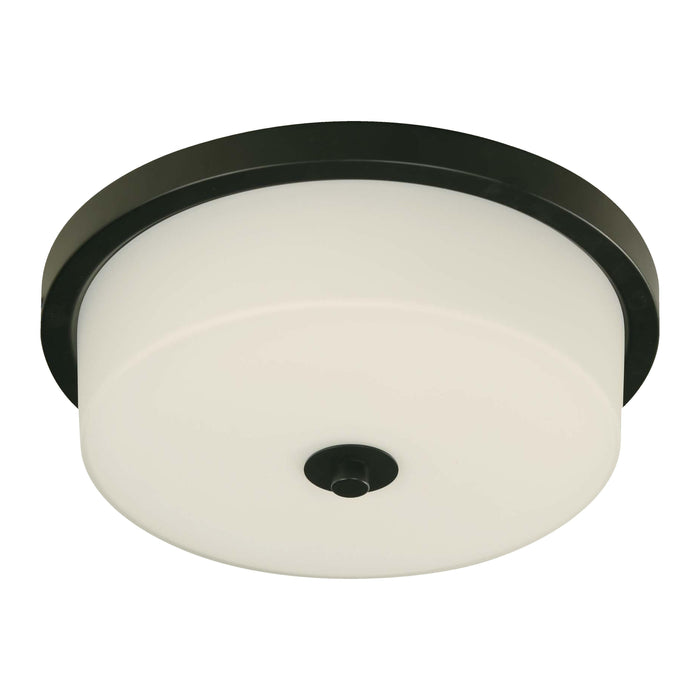 LAMP. TECHO NEGRO 2L E27 40W