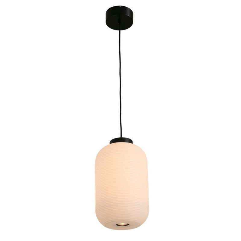 Lámpara Led Colgante Negro 1L 30W 100-240V 3000K