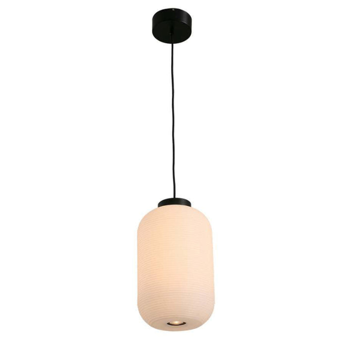 Lámpara Led Colgante Negro 1L 30W 100-240V 3000K