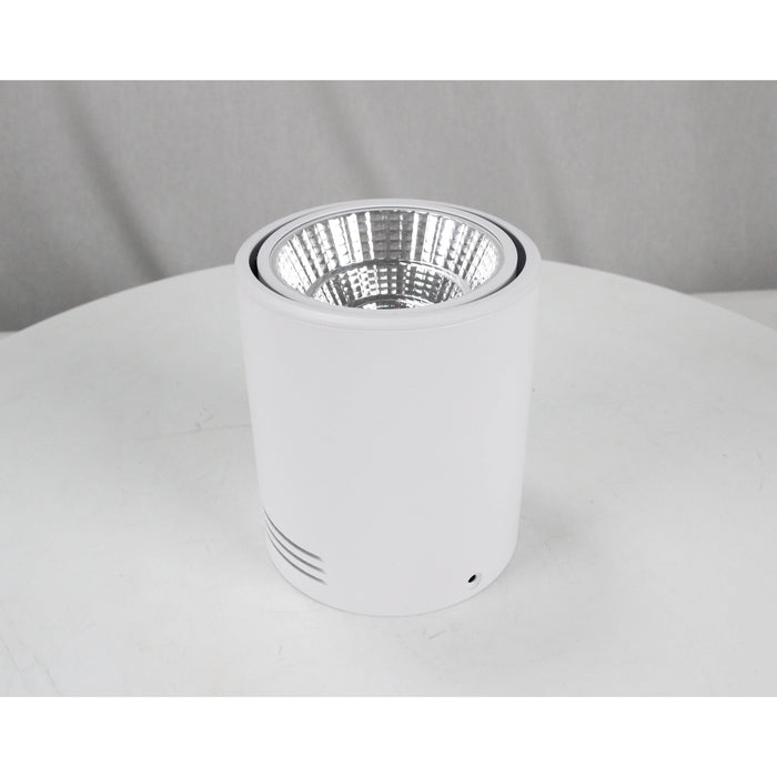 LAMP LED TECHO BLANCO 12W 3000K