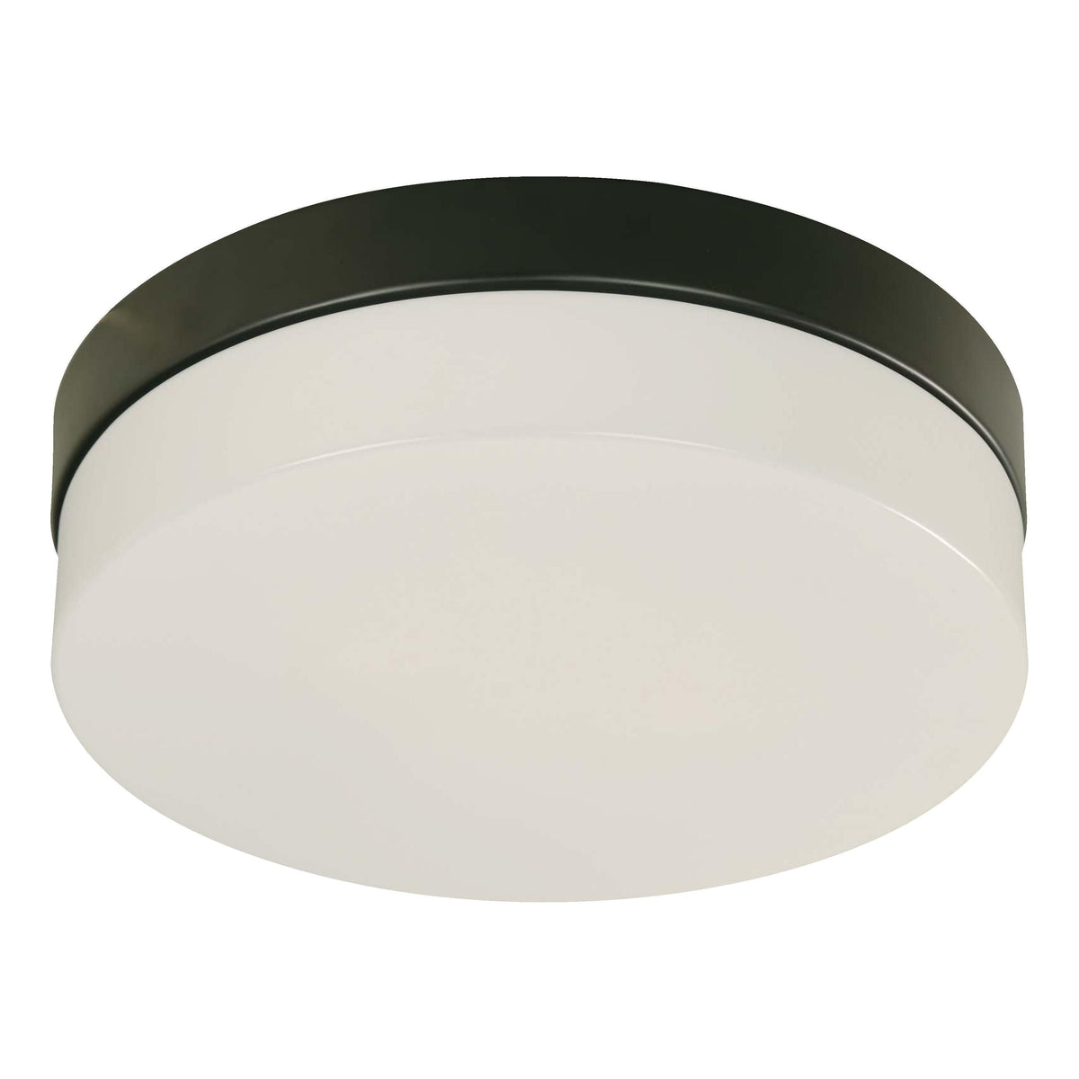 LAMP. TECHO NEGRO 2L E27 10W