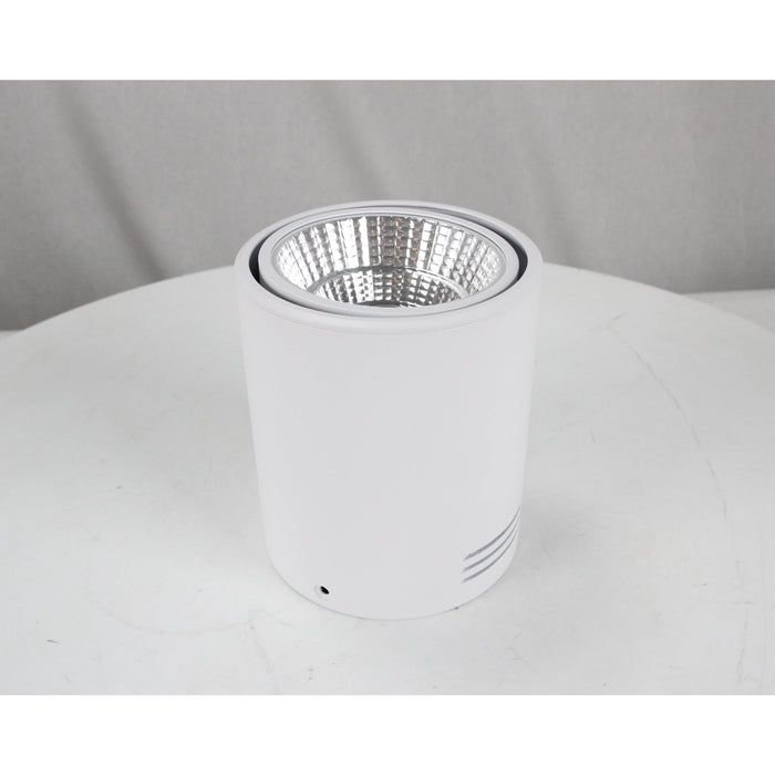 LAMP LED TECHO BLANCO 12W 3000K
