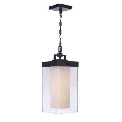 LAMP. EXT. COLGANTE NEGRO 1L E26 60W