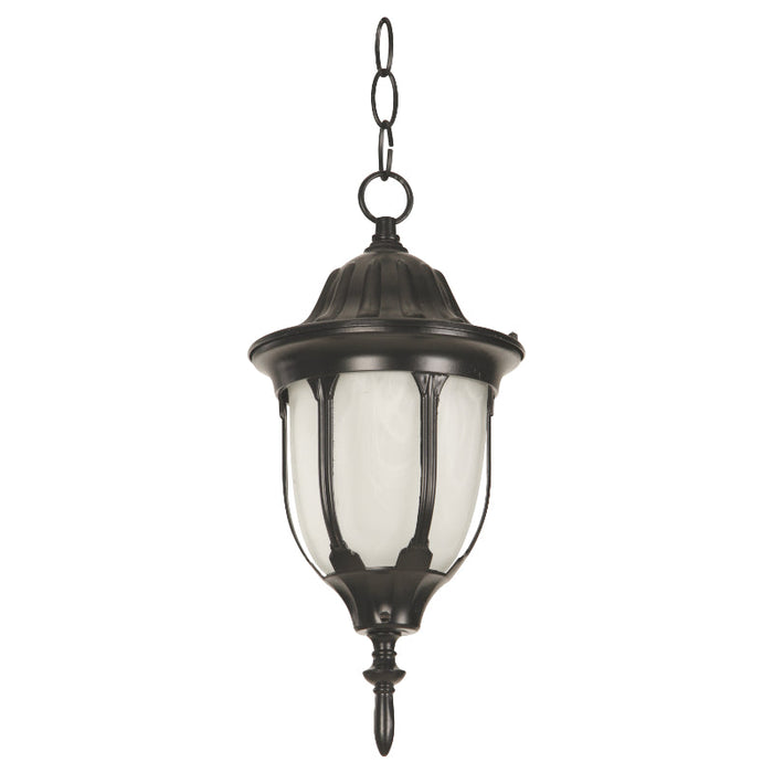 LAMP. EXT. COLGANTE NEGRO 1L E27 60W (CONVERTIBLE)