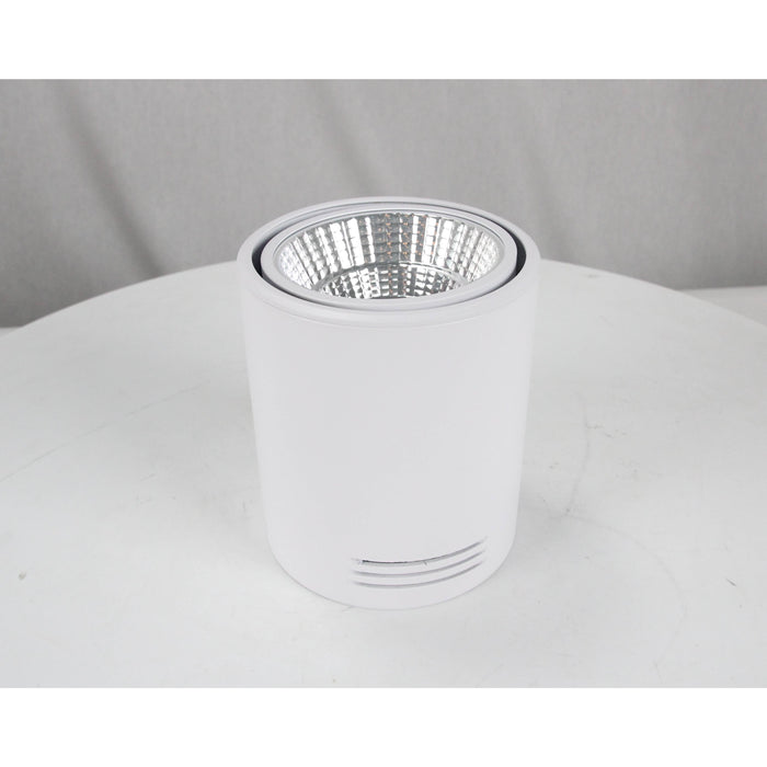 LAMP LED TECHO BLANCO 12W 3000K