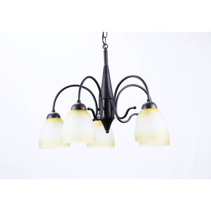 Lámpara Techo Negro 5L E27 60W