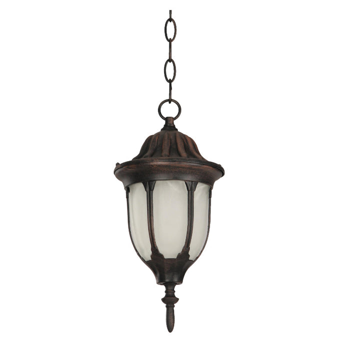 LAMP. EXT. COLGANTE OXIDO 1L E27 60W (CONVERTIBLE)